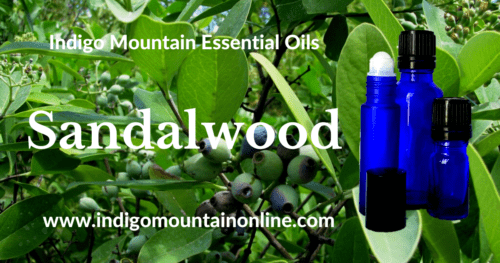 Sandalwood Essential Oil