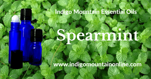 Spearmint Essential Oil