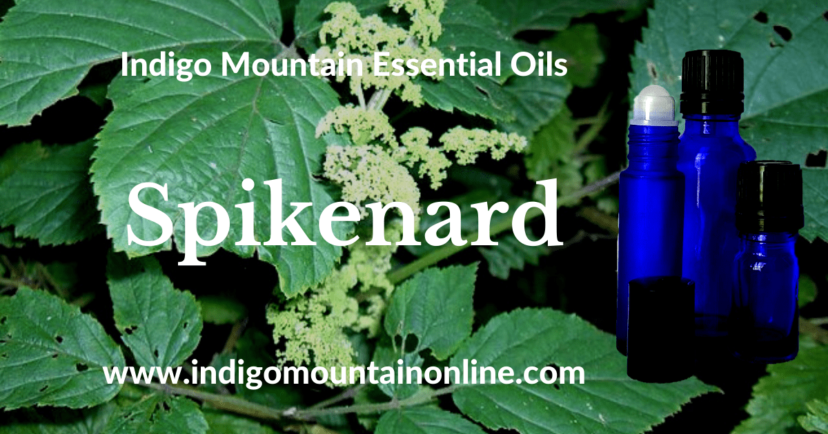 Spikenard Essential Oil