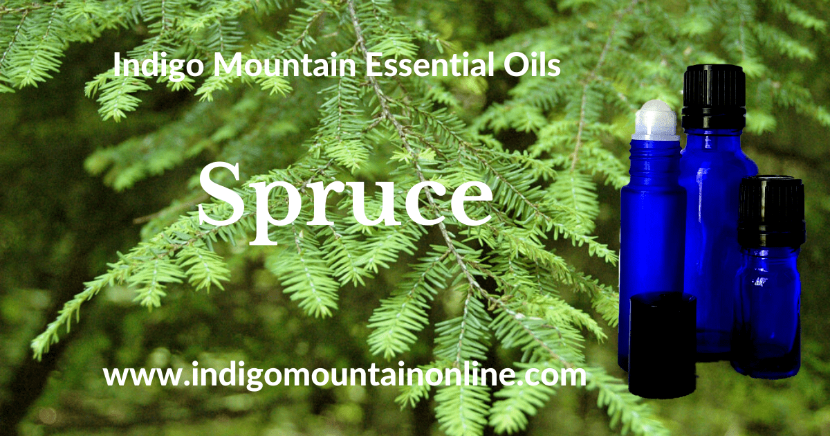 Spruce Essential Oil