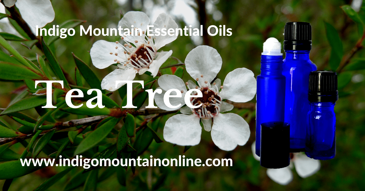 Tea Tree Essential Oil