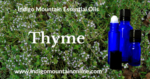 Thyme Essential Oil