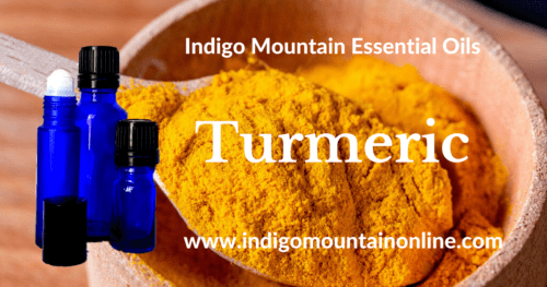 Turmeric Essential Oil