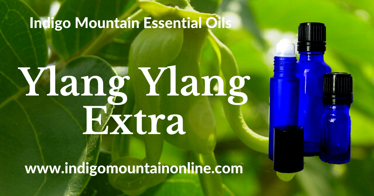 Ylang Ylang Extra Essential Oil